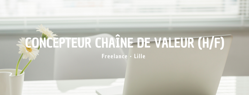Concepteur chaîne de valeur (H/F)