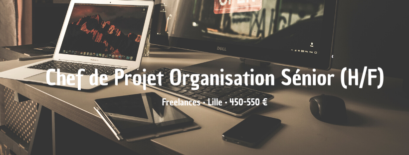 Chef de Projet Organisation Sénior