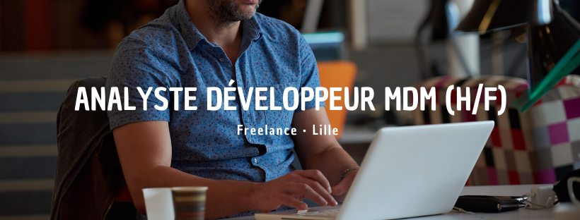Analyste Développeur MDM (H/F)