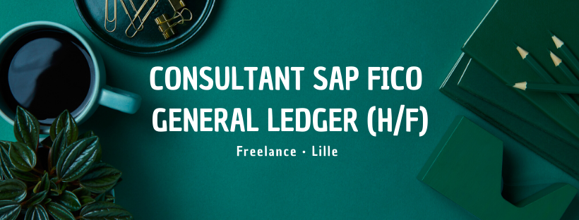 Consultant SAP FICO General Ledger (H/F)
