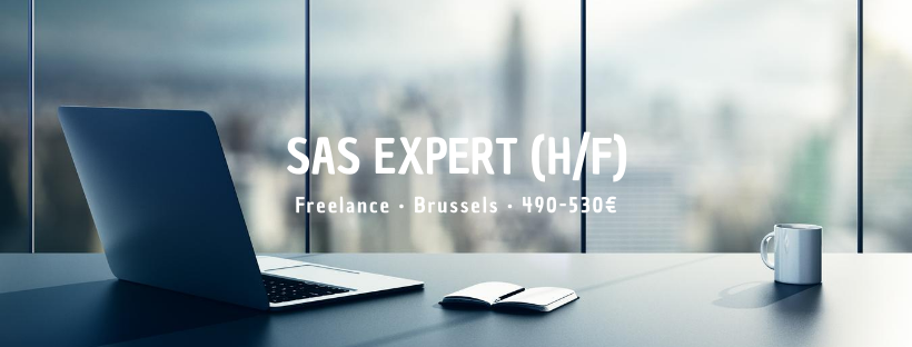 SAS Expert (H/F)