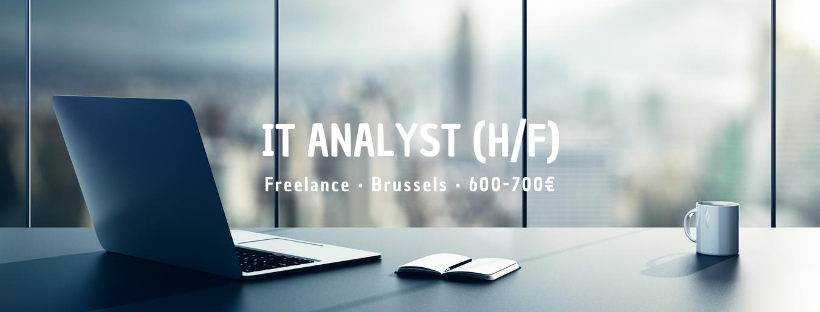 IT Analyst (H/F)
