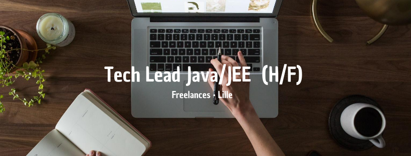Tech Lead Java/JEE