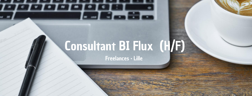 Consultant BI Flux (H/F)