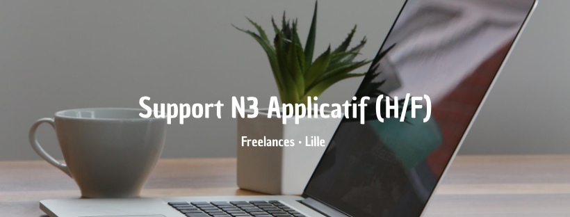 Support N3 Applicatif (H/F)