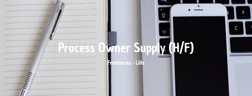 Process Owner Supply (H/F)