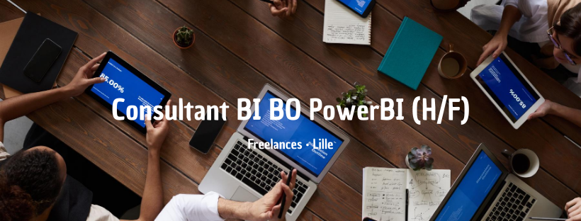 Consultant BI BO PowerBI (H/F)