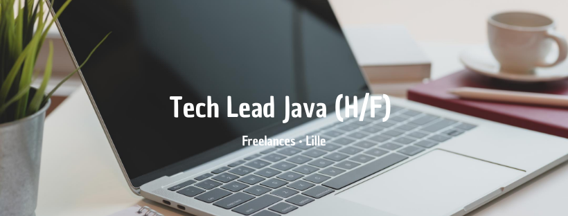 Tech Lead Java (H/F) 