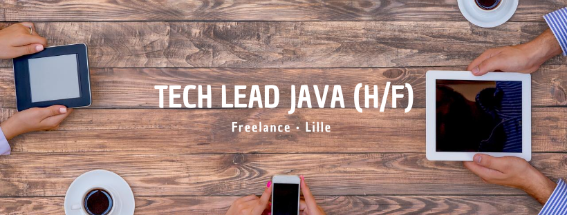 Tech Lead Java (H/F)