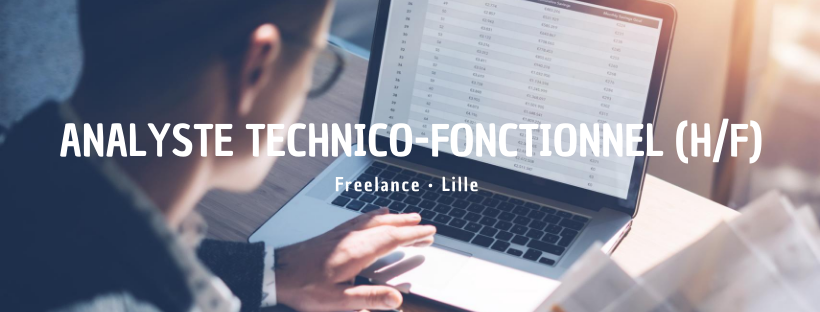 Analyste technico-fonctionnel (H/F)