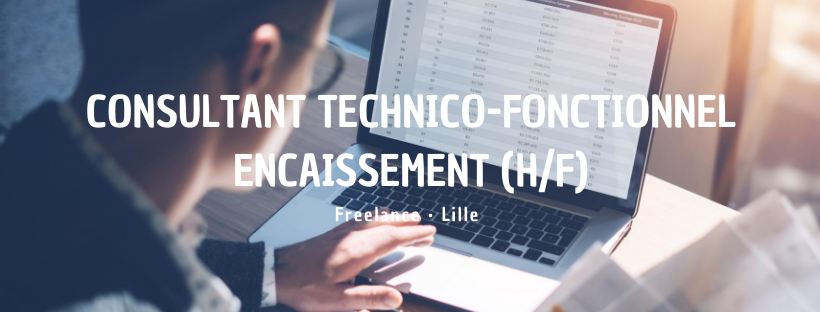 Consultant technico-fonctionnel Encaissement (H/F)