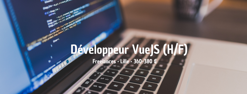 Développeur Vuejs