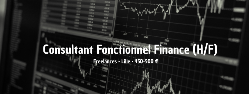 Consultant Fonctionnel Finance