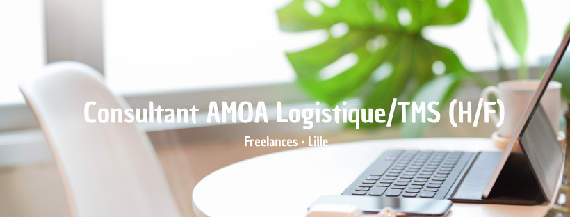 Consultant AMOA Logistique/TMS