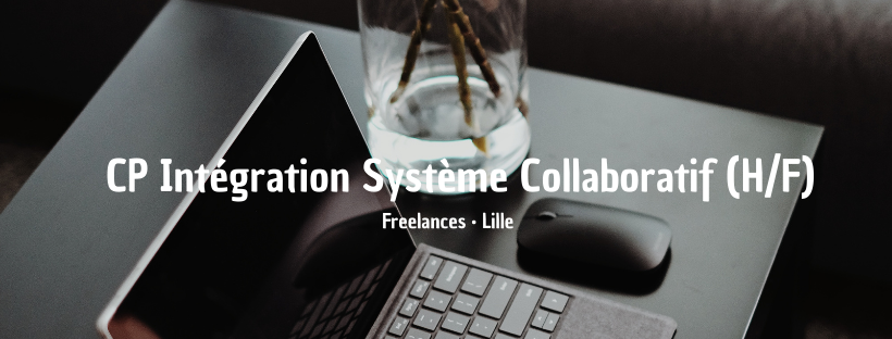 CP Intégration Système Collaboratif