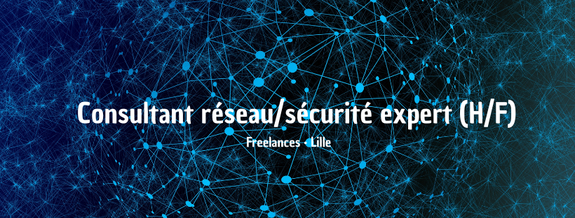Consultant réseau/sécurité expert