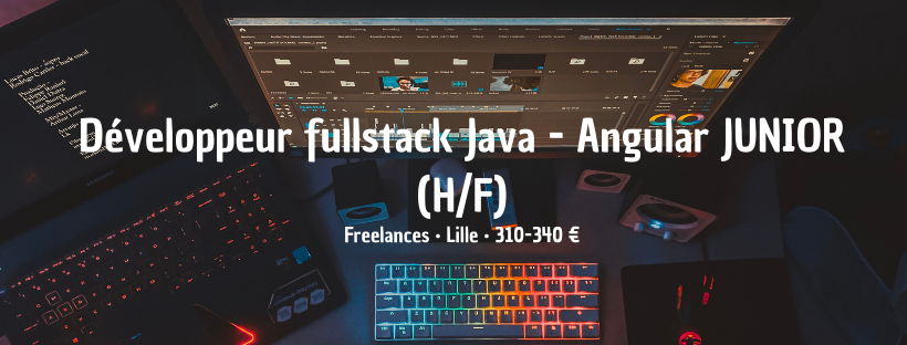 Développeur fullstack Java - Angular JUNIOR