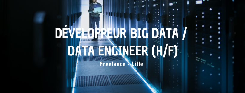 Développeur Big Data / Data Engineer (H/F)