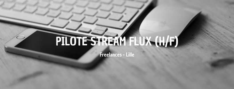 Annonce Lille - 2020-11-26T141341.896 - Insitoo - Freelances