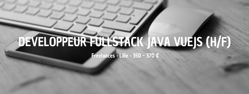 Développeur Fullstack JAVA VueJS (H/F) - Insitoo Lille - Mission ...