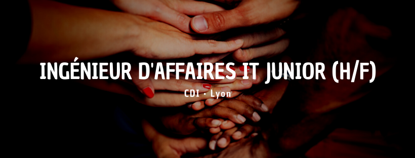 Ingénieur d'Affaires IT junior