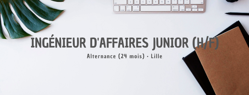 Ingénieur d'Affaires Junior (H/F)