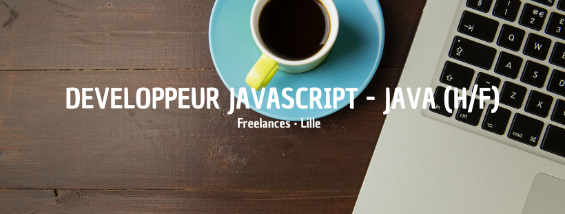 Développeur Javascript / Java