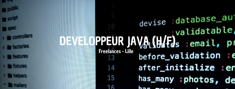 Développeur Java 