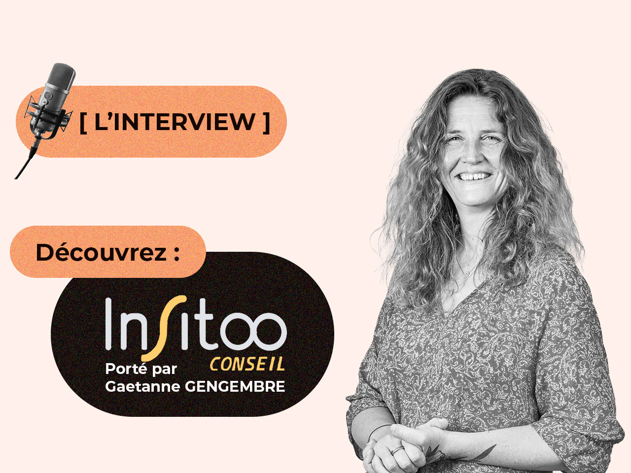 Insitoo Freelances lance Insitoo Conseil